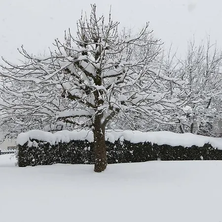 Hitzenbichler * Abtenau